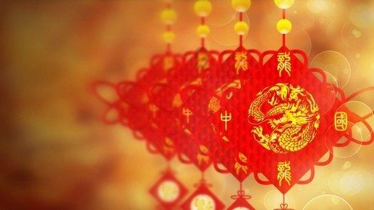 可爱猫咪救援